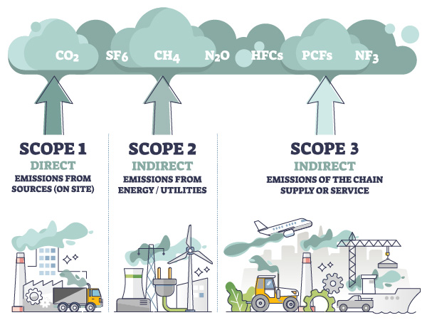 Build a sustainable supply chain with OMP's Green Planning