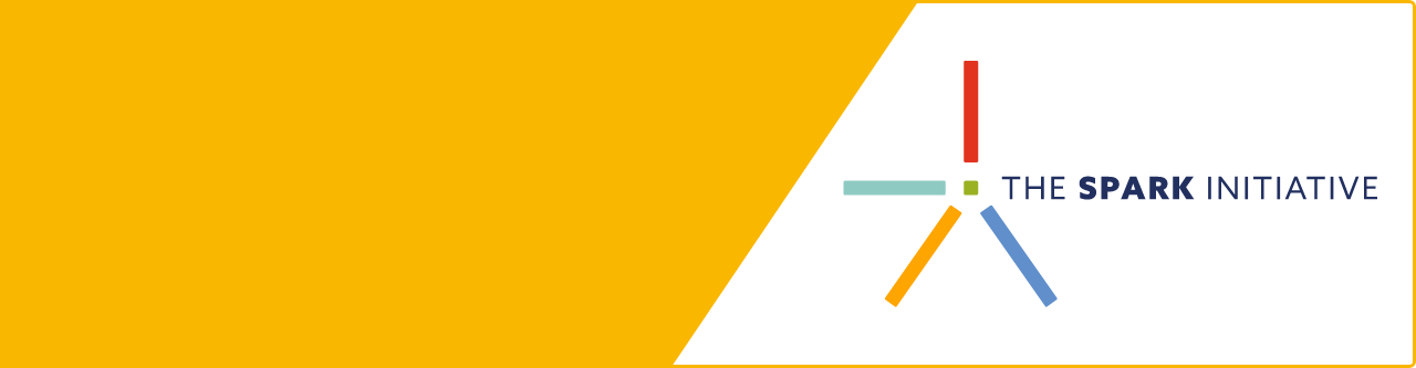 The Spark Initiative